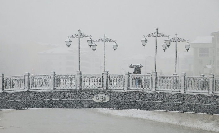 Giresun, Ordu ve Bayburt'ta soğuk hava ve kar etkili oluyor