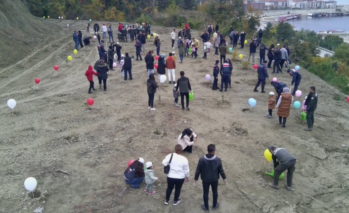 Sinop'ta 11 Kasım Milli Ağaçlandırma Günü dolayısıyla fidanlar toprakla buluşturuldu