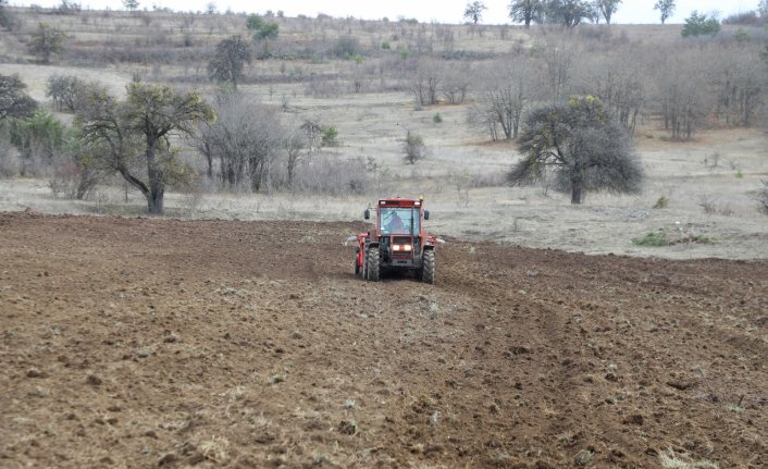 Ordu'da 200 dönümlük atıl araziyi tarıma kazandırdı