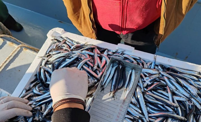 Sinop'ta kasım ayında farklı türlerdeki 50 ton su ürününe el konuldu