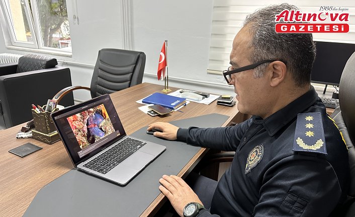 Gerze İlçe Emniyet Müdürü Sevindik AA'nın “Yılın Kareleri oylamasına katıldı