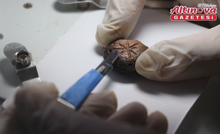 Hadrianopolis Antik Kenti'nde askeri strateji oyununa ait taşlar bulundu