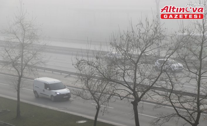 Kocaeli ve Düzce'de sis etkili oldu
