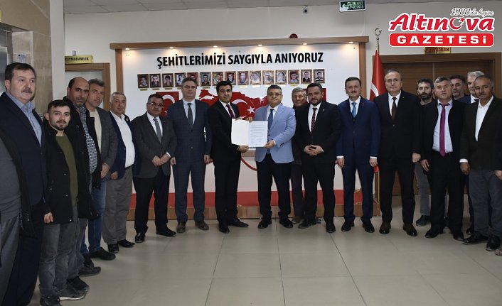 Sinop'ta 80 bin yabani zeytin ağacı aşılanarak ekonomiye kazandırılacak