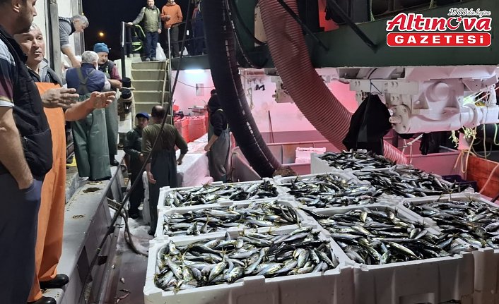 Sinop'ta denize açılan balıkçılar yüzlerce kasa balıkla limana döndü