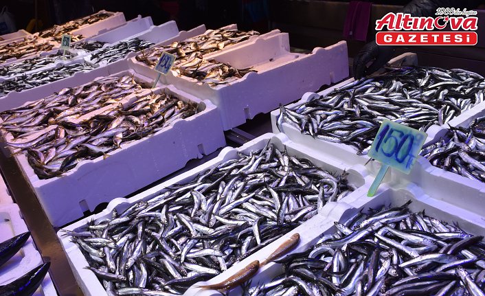 Trabzon'da hamsinin kilogramı 125 ila 150 liradan satışa sunuluyor