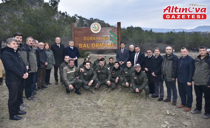 Türkiye'nin 827'nci Bal Ormanı Sinop'ta kuruldu