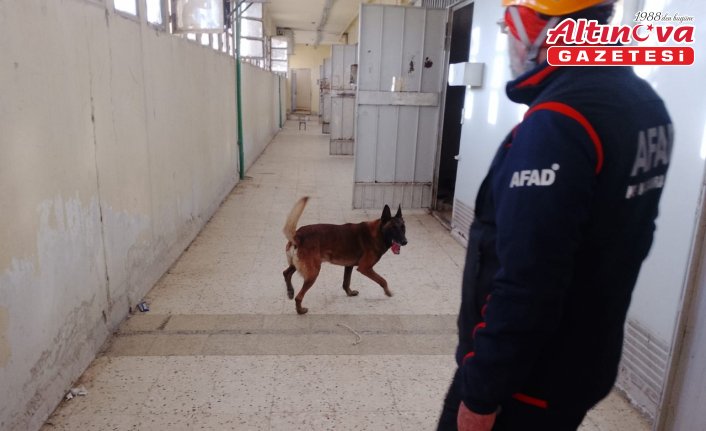 AFAD'ın keskin burnu “Abrek“ Sednaya Hapishanesi'nde görev yaptı