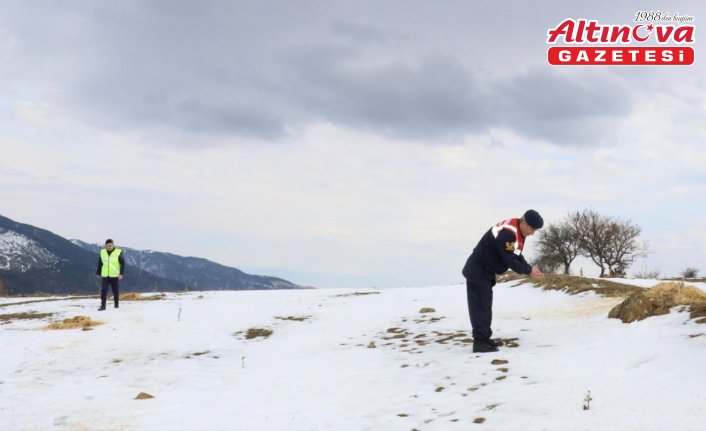Amasya'da jandarma ekipleri yaban hayvanları için doğaya yem bıraktı