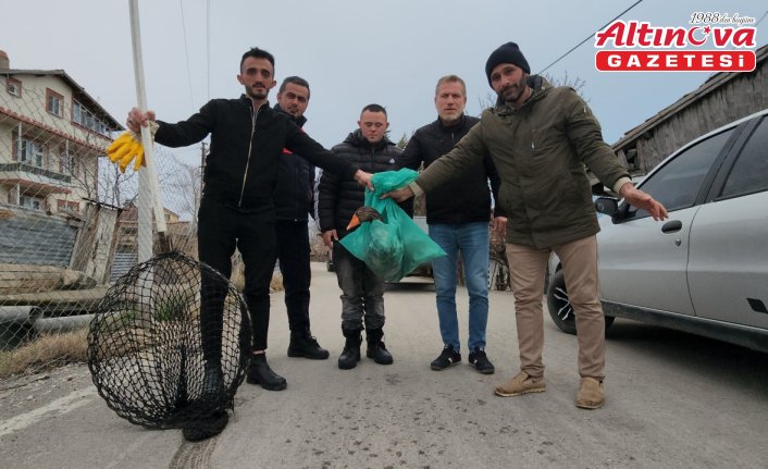 Amasya'da sulama kanalına giren kazı itfaiye çıkardı