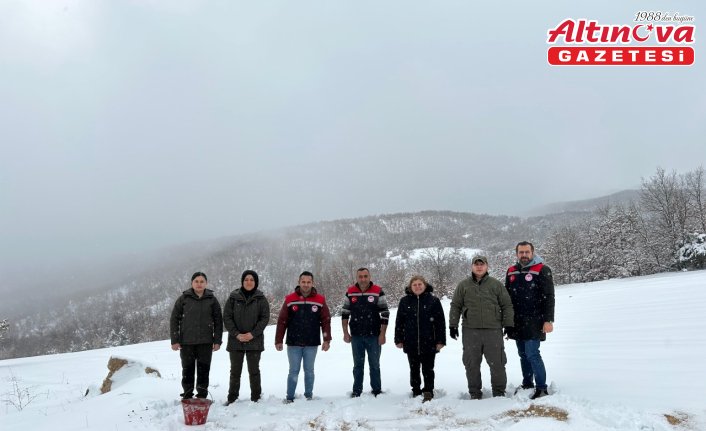 Amasya'da yaban hayvanları için doğaya yem bırakıldı