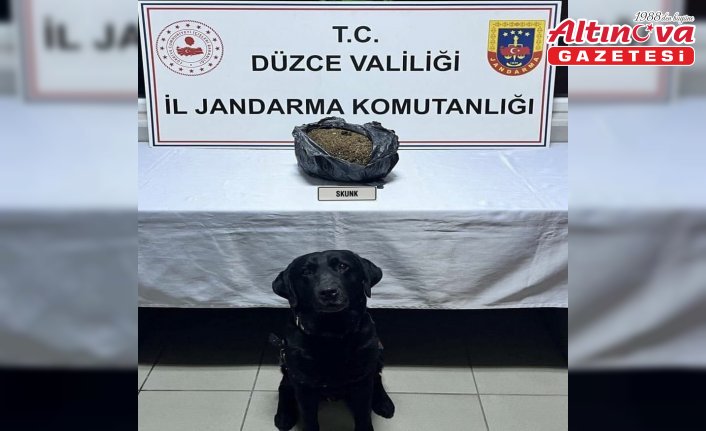 Anadolu Otoyolu'nda aracında uyuşturucuyla yakalanan şüpheli tutuklandı