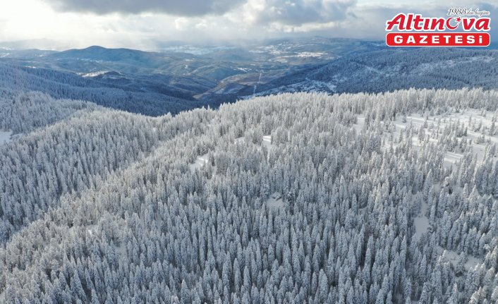 Ballıdağ'ın karla kaplı ormanları dronla görüntülendi