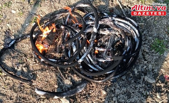 Dikmen'de kablo hırsızlığı iddiasıyla bir kişi yakalandı