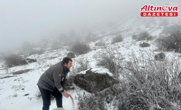 Giresun'da yaban hayvanları için doğaya yem bırakıldı