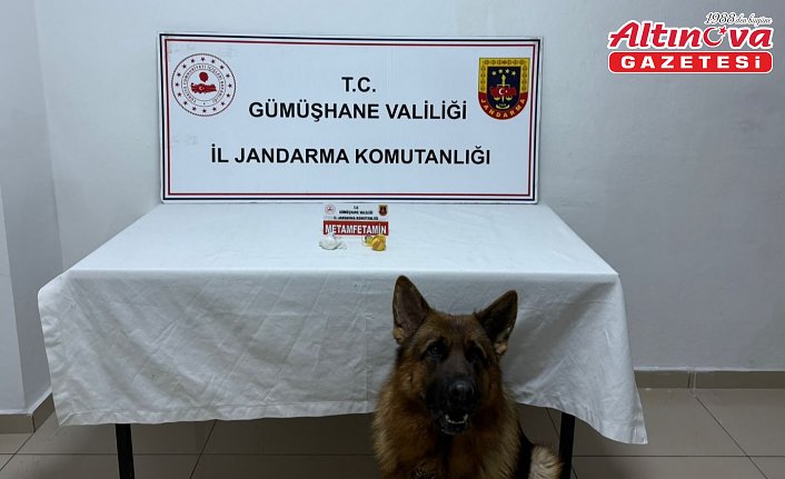Gümüşhane'de uyuşturucu operasyonu kapsamında 2 şüpheli tutuklandı