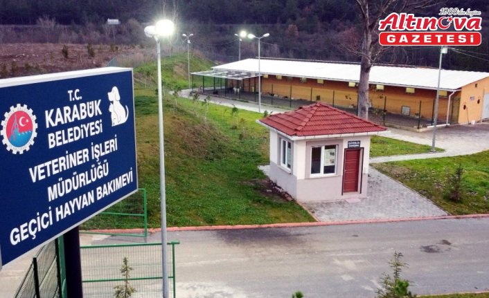 Karabük'te 1000 hayvan kapasiteli barınağın inşası sürüyor