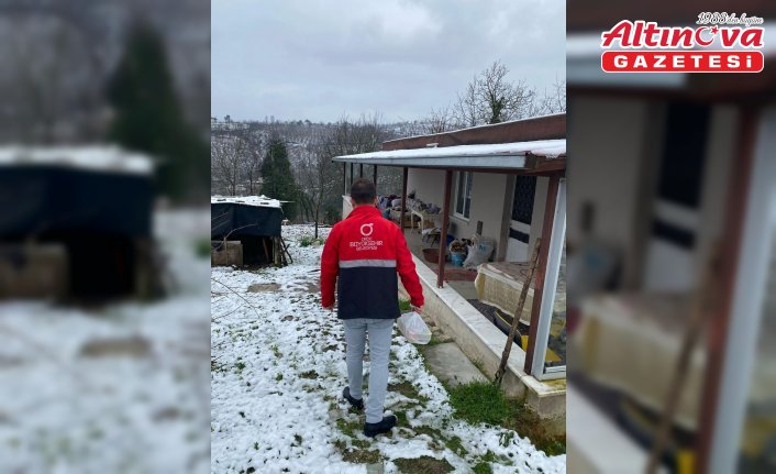 Karadeniz'de kar hayatı olumsuz etkiledi