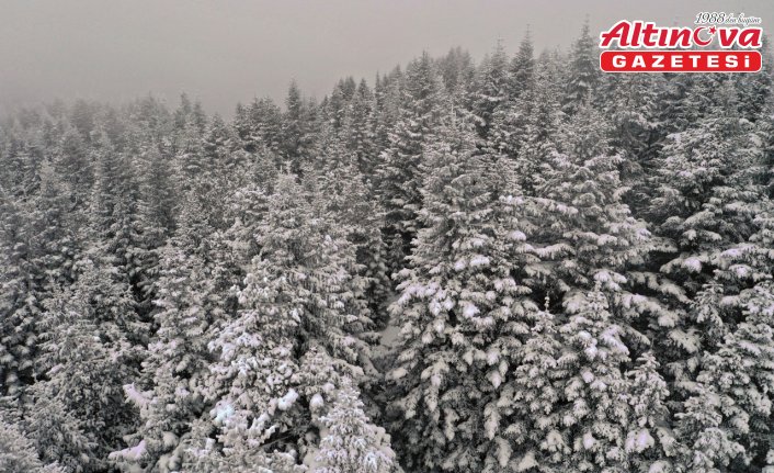 Karla kaplanan Ilgaz Dağı'ndaki orman dronla görüntülendi