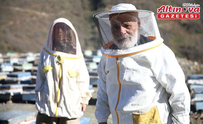 Ordulu arıcı, yarım asırdır kaliteli bal mesaisinde