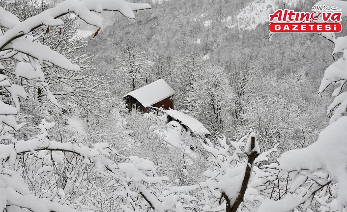 Samsun'un yüksek kesimleri kar yağışının ardından beyaza büründü