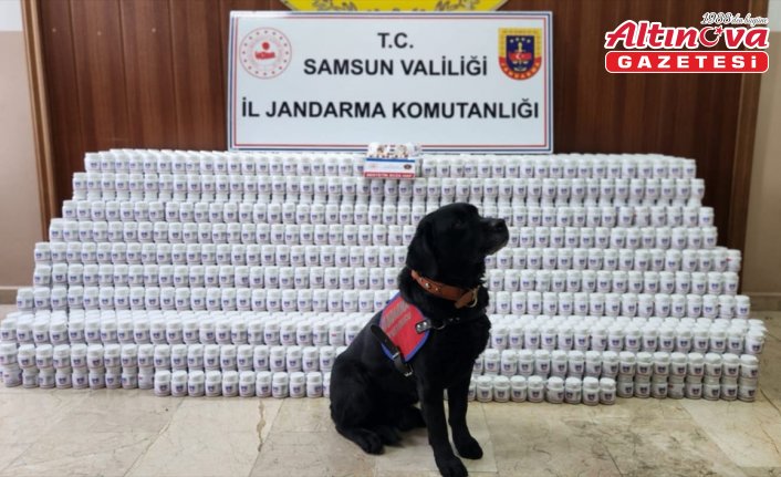 Samsun'da 170 bin 755 kapsül sentetik ecza hapı ele geçirildi