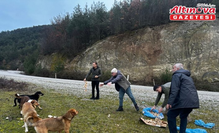 Samsun'da avcılar derneği üyeleri doğada hayvanları besledi