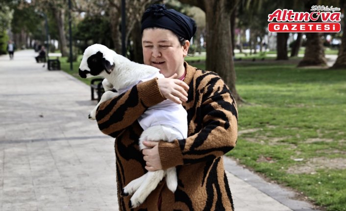 Annesinin besleyemediği kuzu “Pamuk“ evde bakımla hayata tutundu