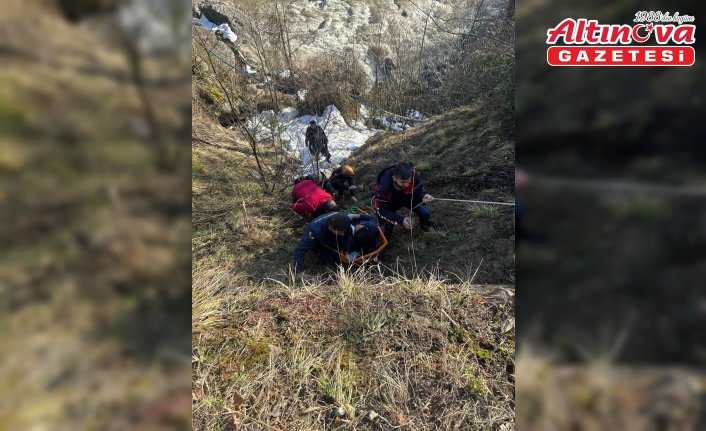 Artvin'de dereye düşen kişi kurtarıldı