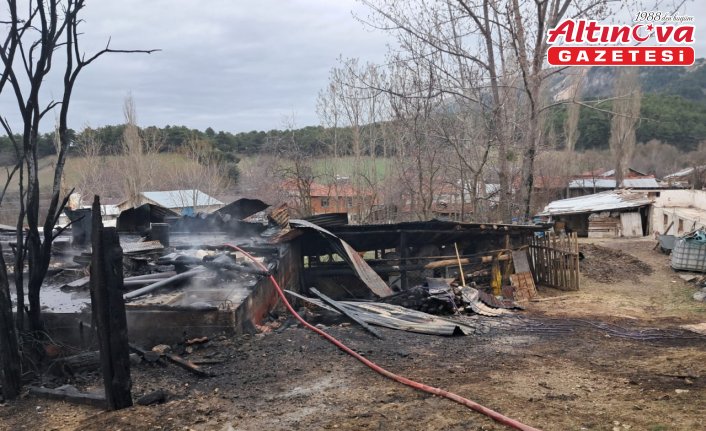 Bolu'da çıkan yangında ev, ahır ve odunluk kullanılamaz hale geldi