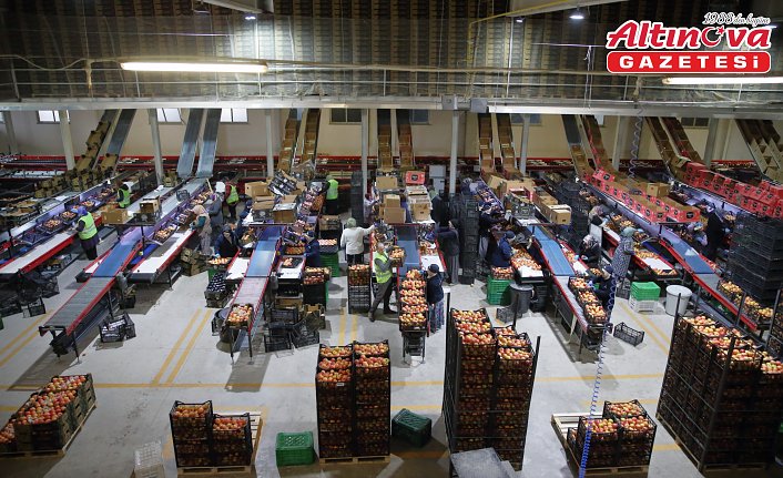 Çorum'da mühendis ailenin TKDK destekleriyle kurduğu fabrikalardan 25 ülkeye ihracat yapılıyor