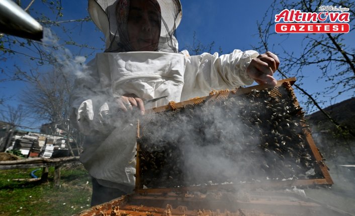 Dedesi ve babasından el aldığı arıcılığı “mektepli“ olarak sürdürüyor