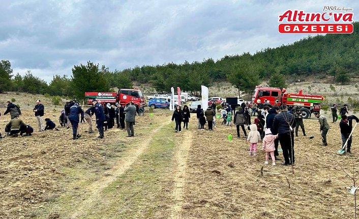 Durağan’da fidanlar toprakla buluşturuldu