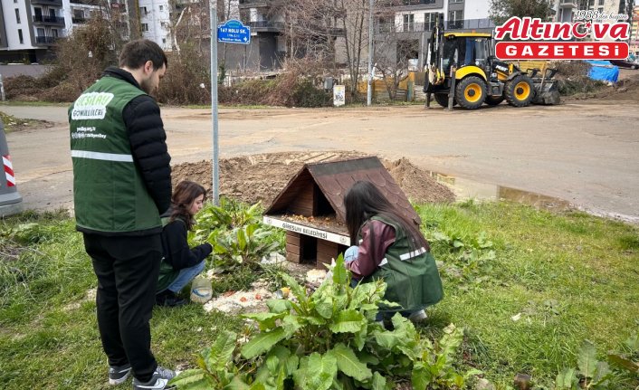 Giresun'da Yeşilay gönüllülerinden hayvanlara mama desteği