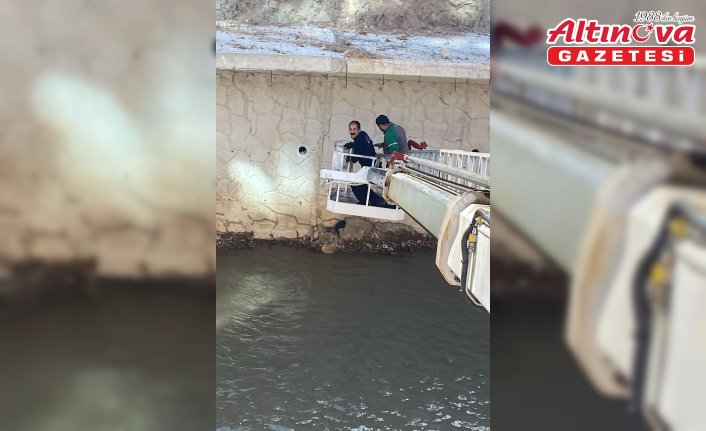 Gümüşhane'de Harşit Çayı'nda mahsur kalan 2 kedi kurtarıldı