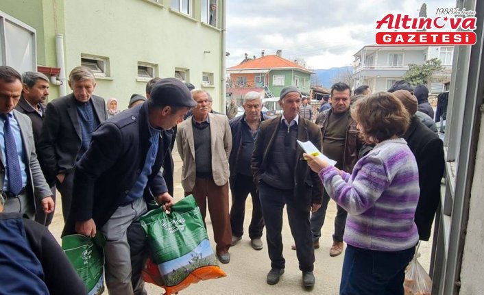 Kargı'da hak sahibi çiftçilere yonca tohumu dağıtıldı