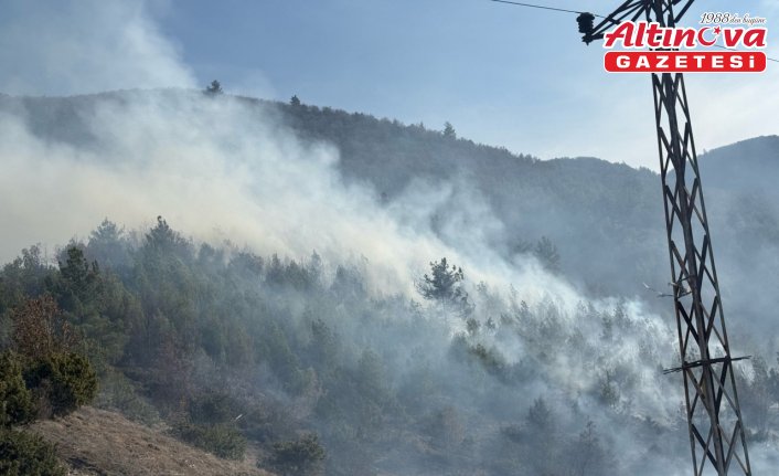 Kastamonu'da çıkan anız ve örtü yangını söndürüldü