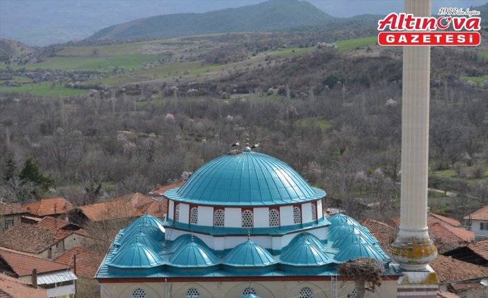 Leylekler Çorum'daki yuvalarına gelmeye başladı