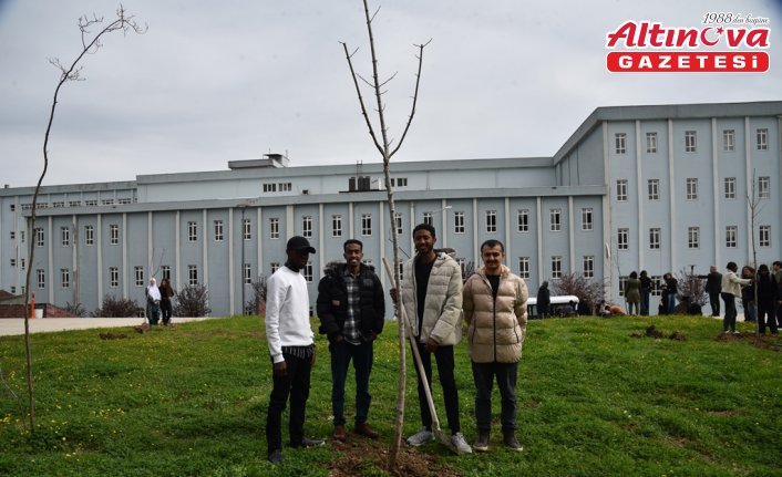 OMÜ'nün 50'nci yılı için 50 fidan toprakla buluşturuldu