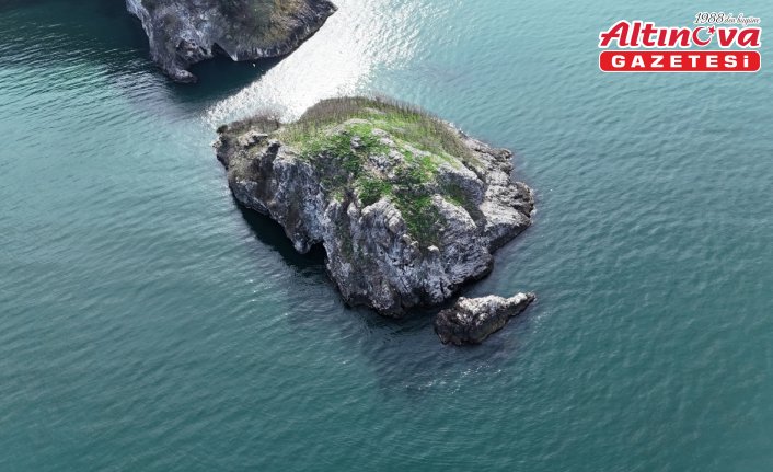 Ordu'daki Hoynat Adası ziyaretçilerin uğrak noktası oldu