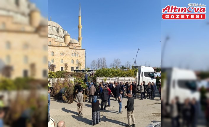 Piraziz ve Bulancak'ta vatandaşlara 24 bin meyve fidanı dağıtıldı