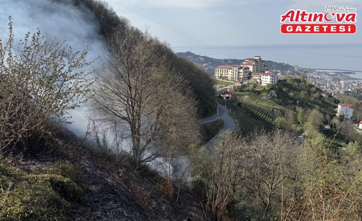 Rize'de arazide başlayıp ormanlık alana sıçrayan yangın söndürüldü