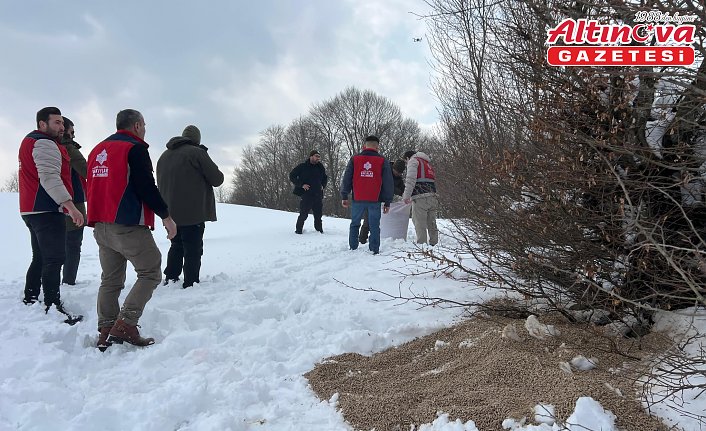 Samsun'da yaban hayatı için doğaya yem bırakıldı