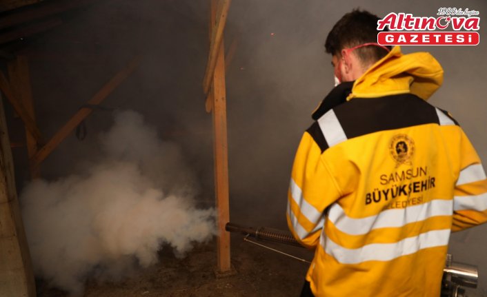Samsun'da kahverengi kokarca zararlısına karşı 8 ilçede 154 mahalle ilaçlandı