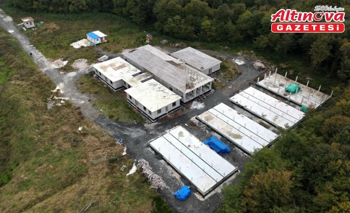 Samsun'da sahipsiz hayvanlara “konforlu“ barınak inşa ediliyor