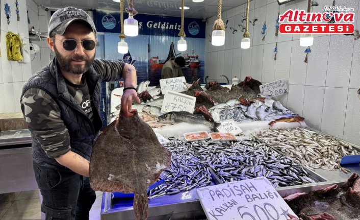 Sinop'ta tezgahlar bol miktarda avlanan kalkan balığıyla süslendi