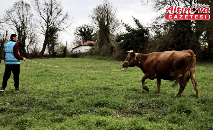 Sinop'ta üniversite öğrencileri ramazanda yaşlıları yalnız bırakmadı