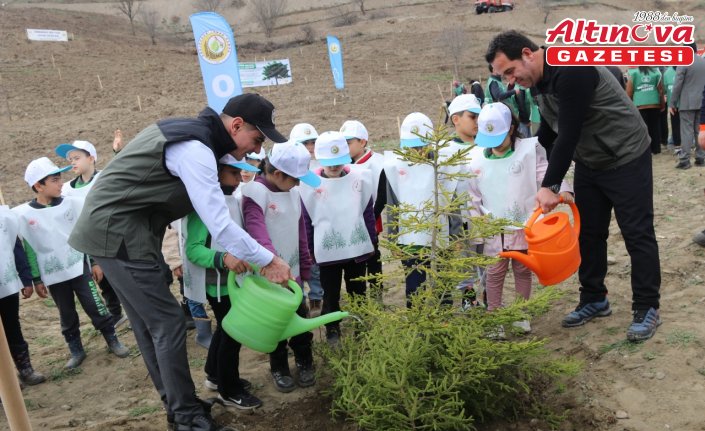 Taşova’da 6 bin fidan toprakla buluştu