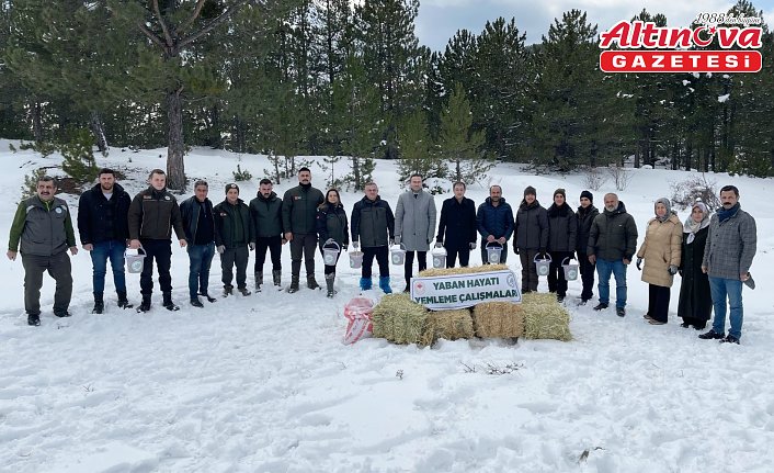Tosya'da yaban hayatı için doğaya yem bırakıldı