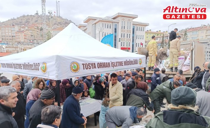 Tosya'da 15 bin adet fidan dağıtıldı.